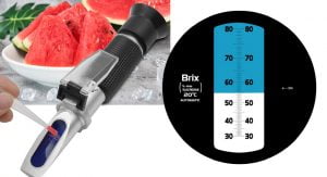 รู้จัก Brix คือหน่วยการวัดปริมาณน้ำตาล ความหวานในของเหลว - บริษัท นีโอน ...